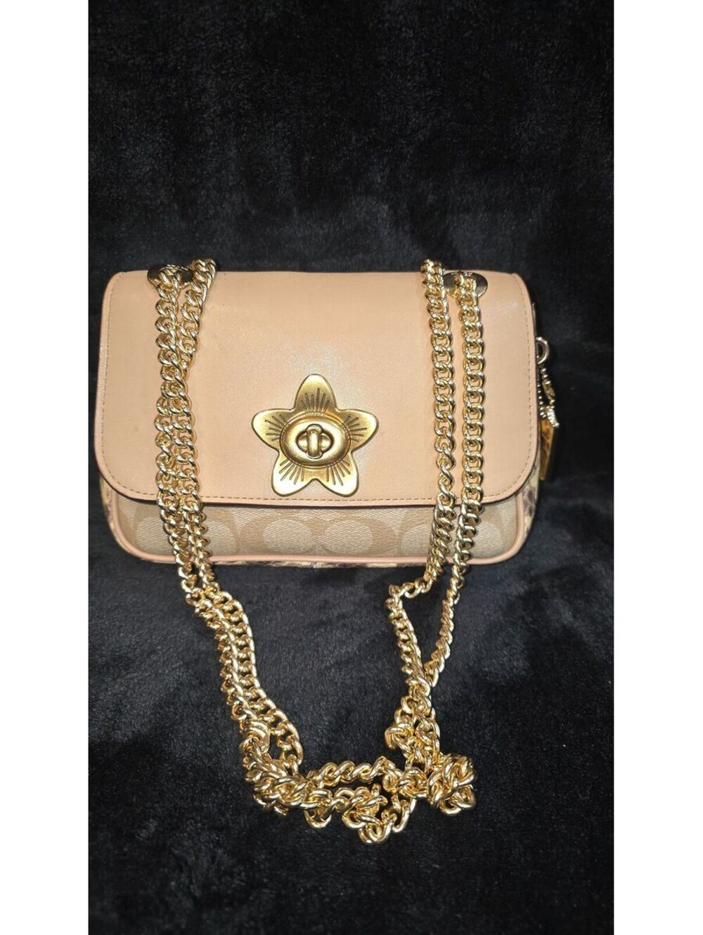 109. Coach Mini Coach 2019 Cassidy Crossbody Snake Embossed Leather Satchel